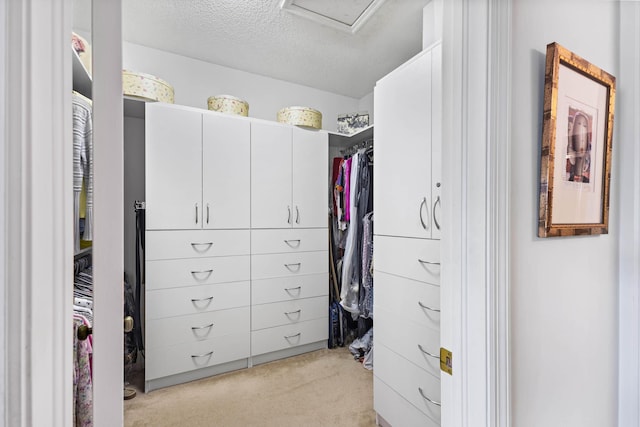 walk in closet with light carpet