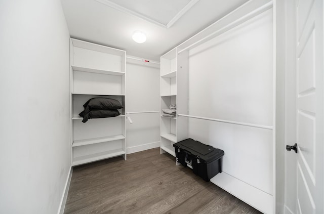 spacious closet with dark hardwood / wood-style flooring