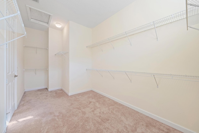 walk in closet featuring light carpet