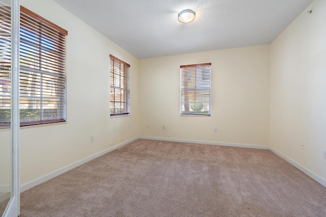 unfurnished room with light colored carpet, a wealth of natural light, and a textured ceiling