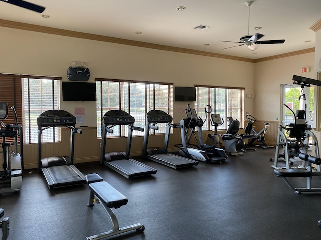 gym featuring ceiling fan, a wealth of natural light, and crown molding