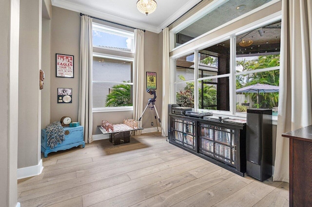 interior space featuring light wood-type flooring and crown molding