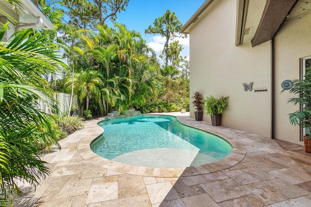 view of swimming pool featuring a patio area