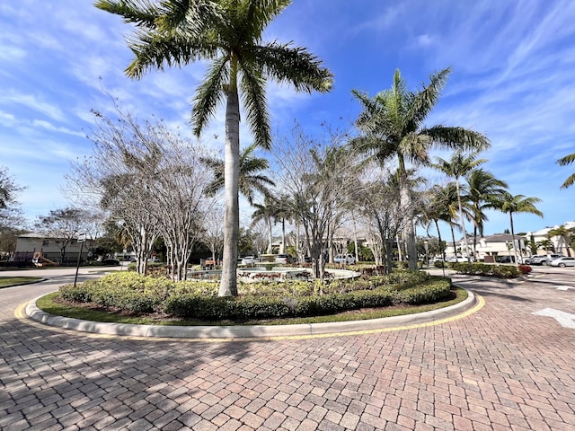 view of community
