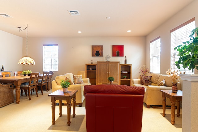 carpeted living room with plenty of natural light