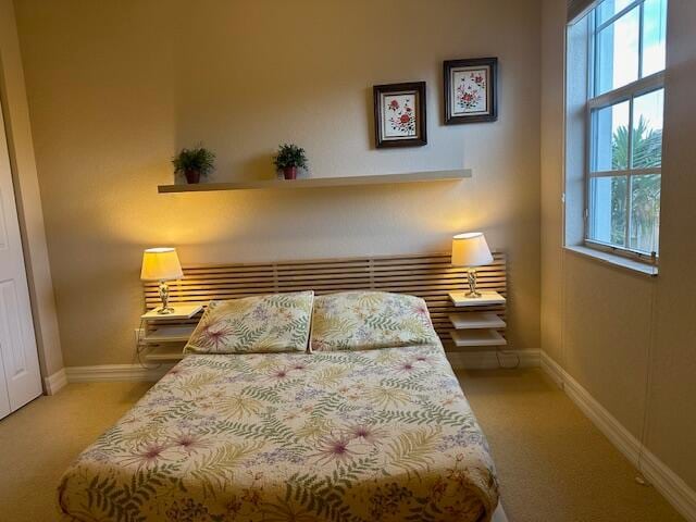 bedroom featuring carpet flooring