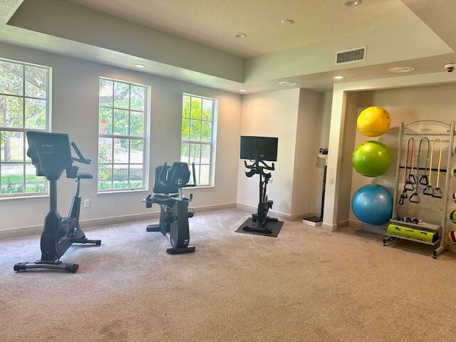 workout room featuring a raised ceiling and light carpet