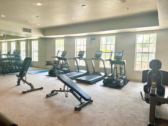 exercise room featuring carpet and a textured ceiling