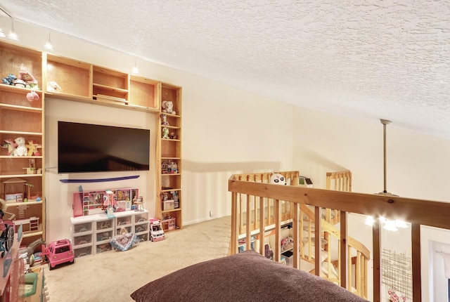 interior space with carpet and a textured ceiling