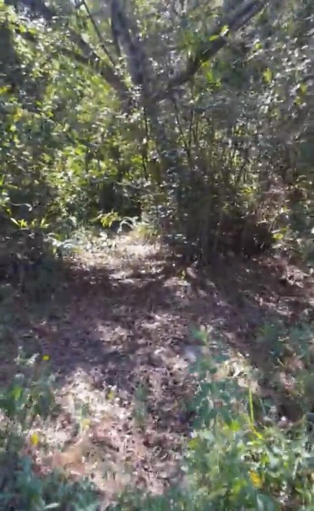 0000 032nd Ln N Unit 1Of 3, The Acreage, FL 33470