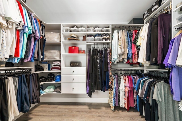 walk in closet featuring wood-type flooring