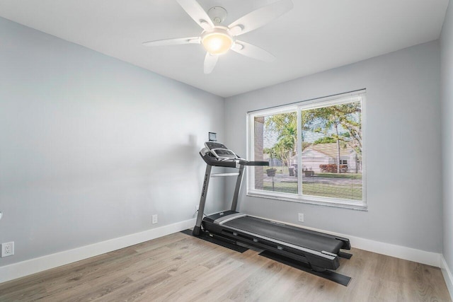 exercise room featuring ceiling fan and light hardwood / wood-style floors