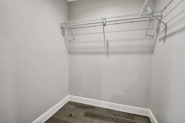 walk in closet with hardwood / wood-style flooring