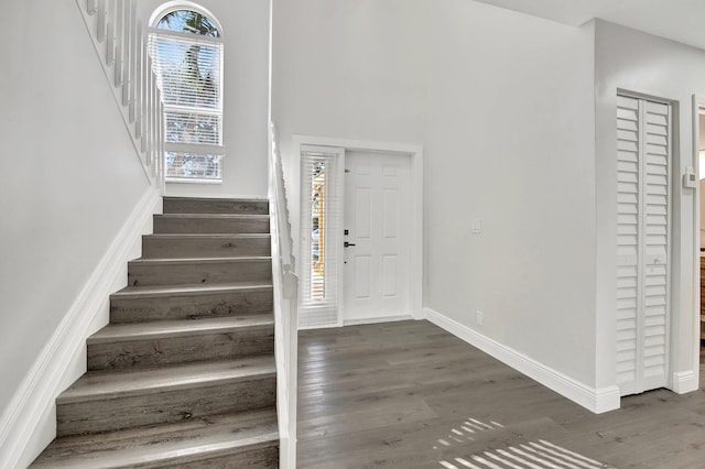 foyer entrance with dark hardwood / wood-style floors