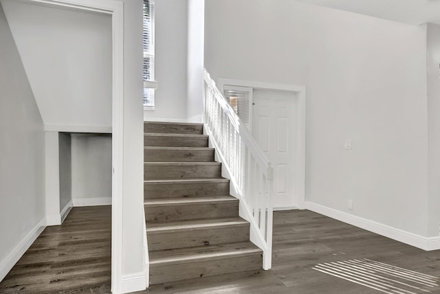 stairway with hardwood / wood-style floors