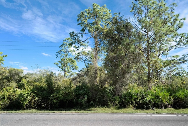 TBD NE 17th Ave, Okeechobee FL, 34972 land for sale