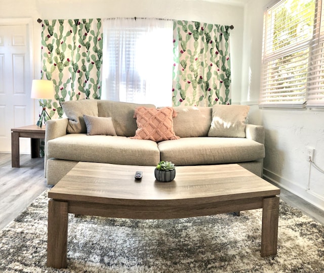 living room with hardwood / wood-style floors