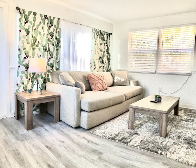 living room featuring light wood-type flooring