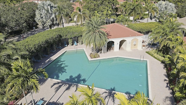 view of swimming pool with a patio area