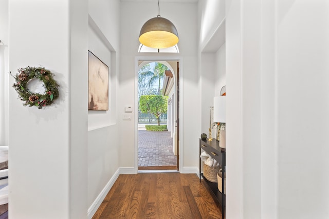 bedroom with wood-type flooring