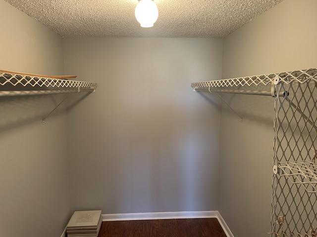 spacious closet featuring wood finished floors