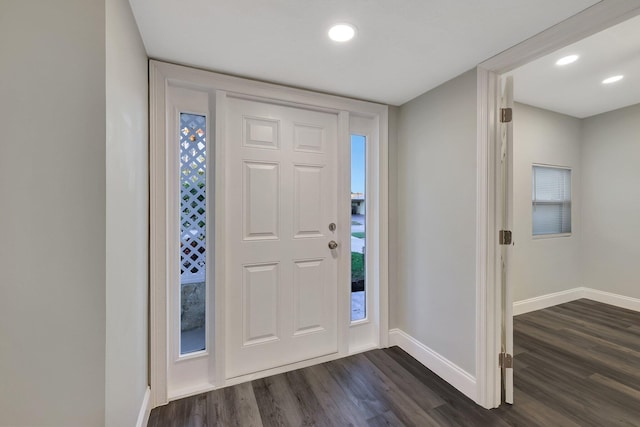 entryway featuring dark wood-type flooring