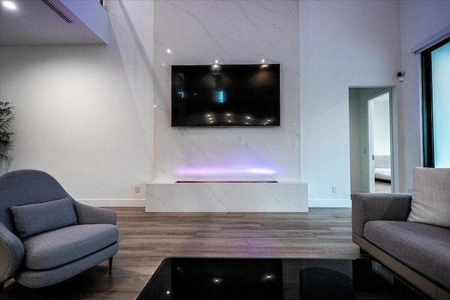 living room featuring wood-type flooring