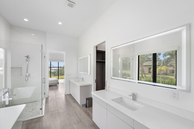 bathroom featuring hardwood / wood-style flooring, vanity, and a shower with door