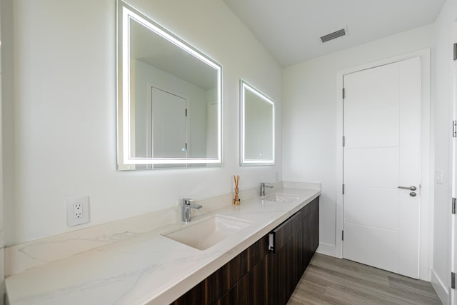 bathroom with vanity and wood-type flooring