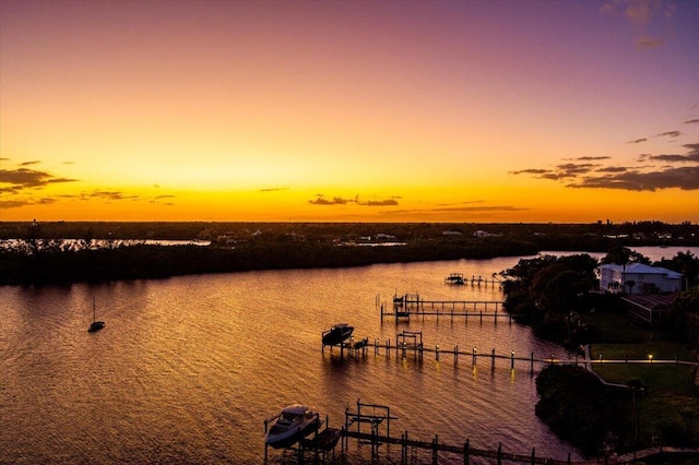 water view featuring a boat dock