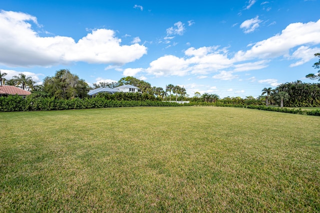 view of yard