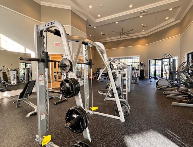 workout area featuring a high ceiling, ceiling fan, and ornamental molding