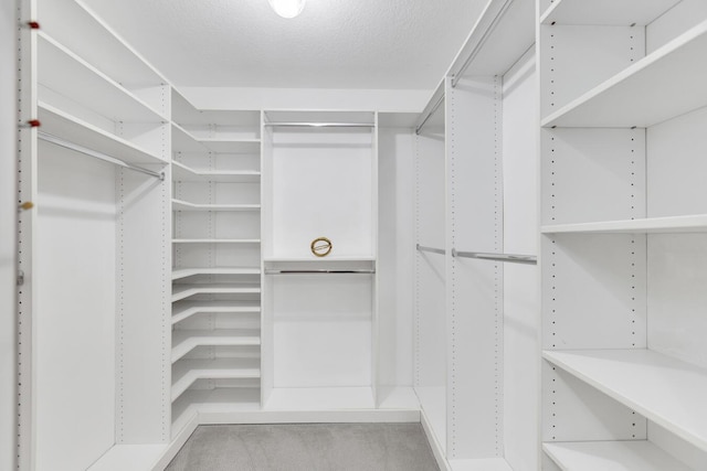 walk in closet with carpet