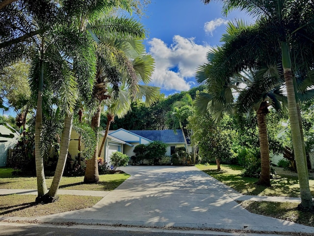 ranch-style house featuring a front yard