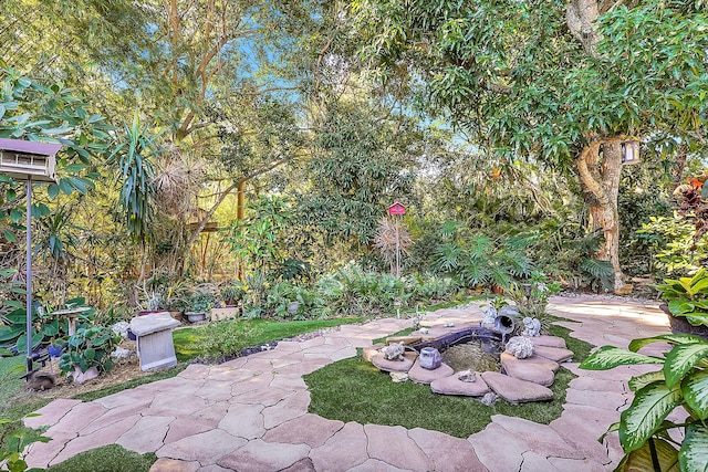 view of yard with a patio area