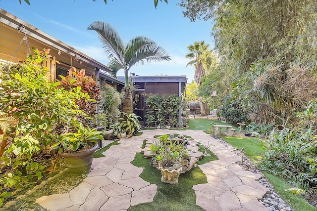 view of yard featuring a lanai and a patio area