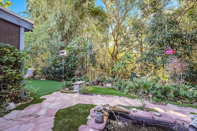 view of yard with a patio area