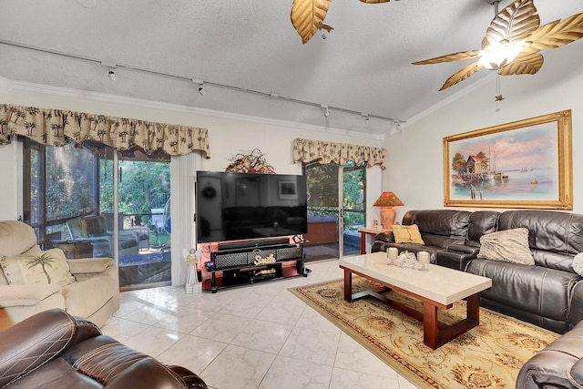 tiled living room with plenty of natural light, rail lighting, and vaulted ceiling