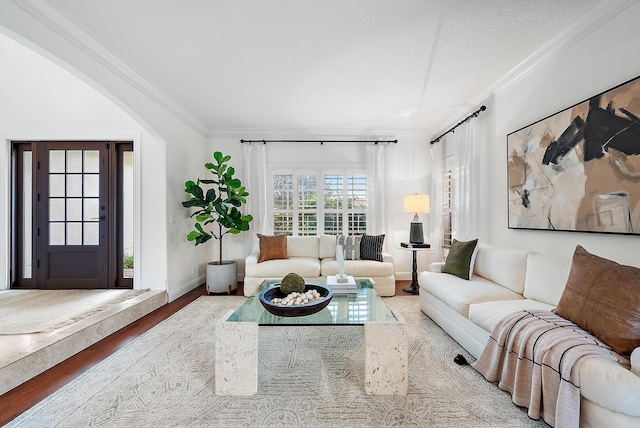 living room featuring hardwood / wood-style floors, a textured ceiling, and crown molding