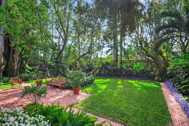 view of yard featuring a patio area