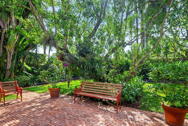 view of home's community featuring a patio