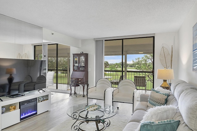 living room with a textured ceiling, light hardwood / wood-style flooring, and plenty of natural light