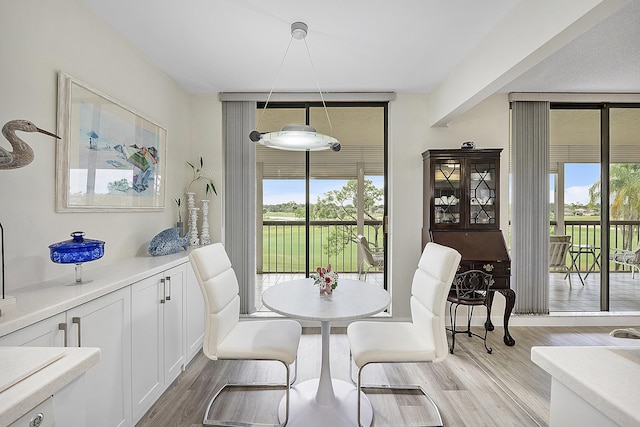 dining room with plenty of natural light, a wall of windows, and light hardwood / wood-style flooring