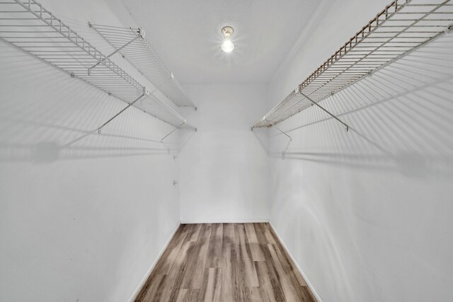 spacious closet featuring hardwood / wood-style flooring