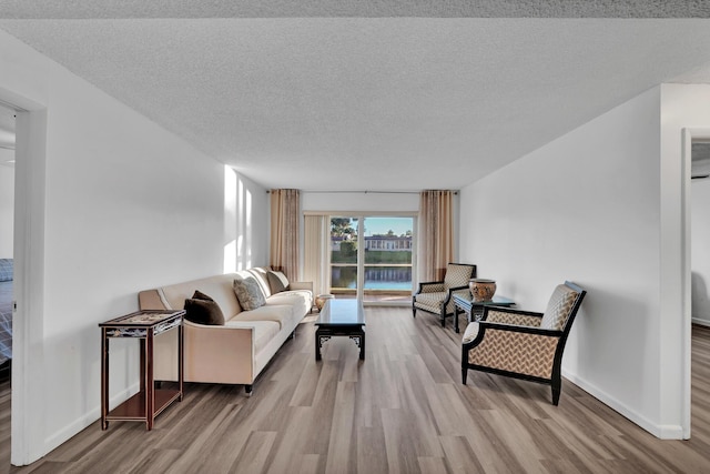 living room featuring light hardwood / wood-style floors and a textured ceiling