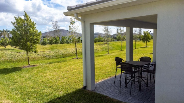 view of yard featuring a patio