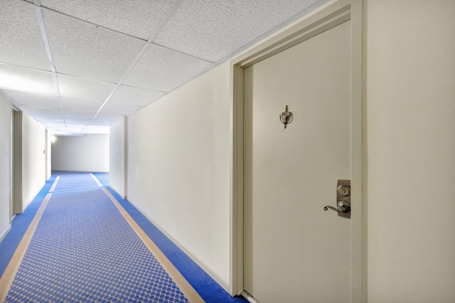 corridor featuring carpet flooring and a drop ceiling