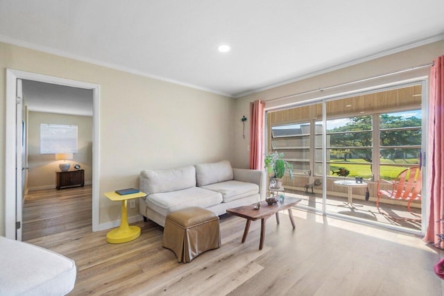 living room with crown molding and light hardwood / wood-style flooring