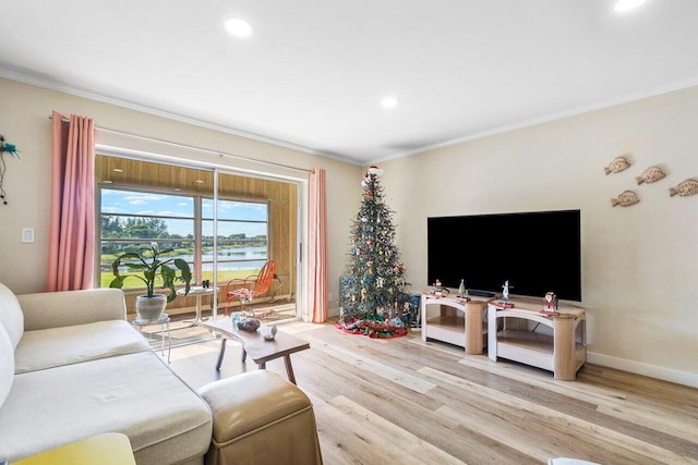 living room featuring light hardwood / wood-style floors and ornamental molding