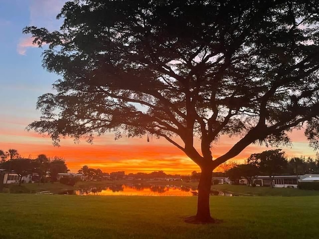 nature at dusk with a water view